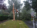 Prio 2 Stormschade Mr Andreaestraat Kollum